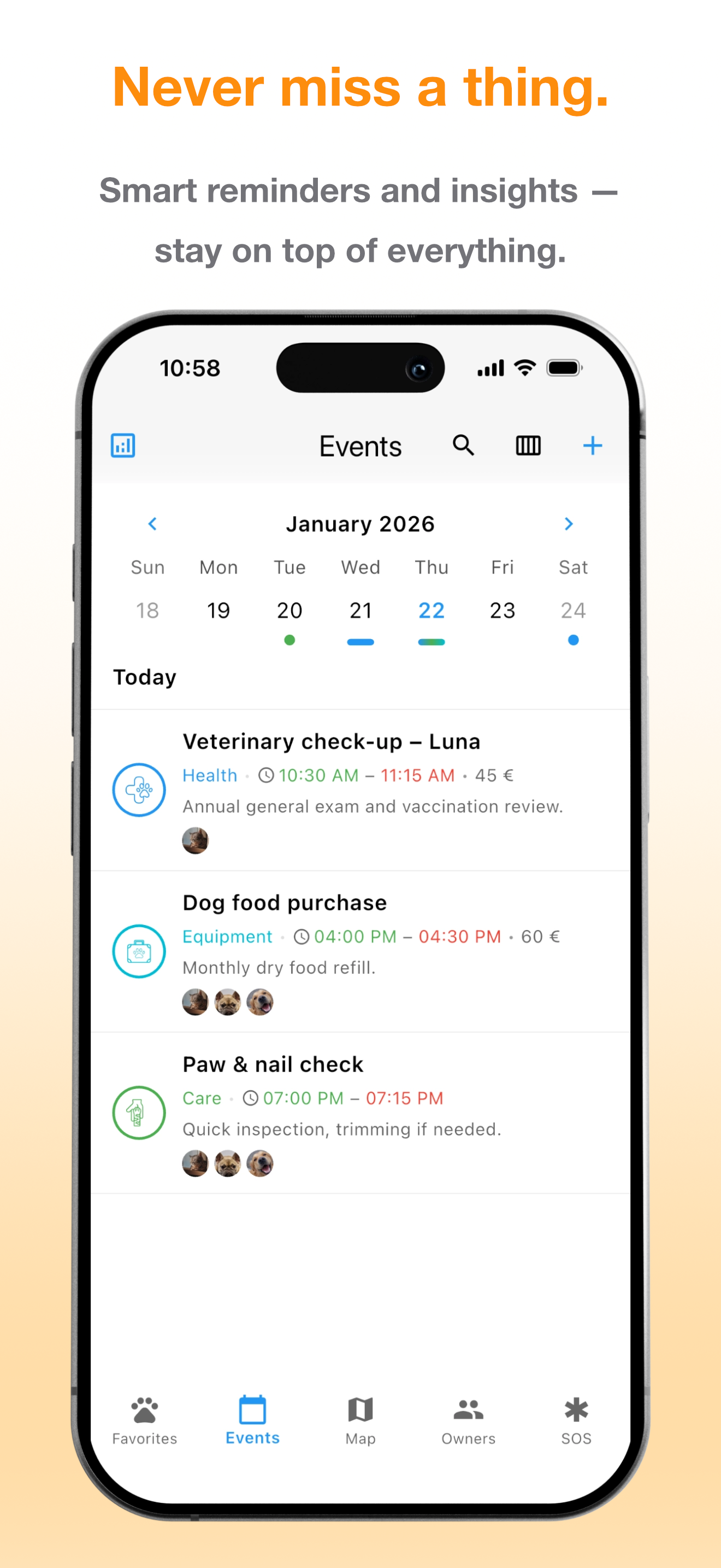 Little Pet - Screenshot 4 showing product features and functionality