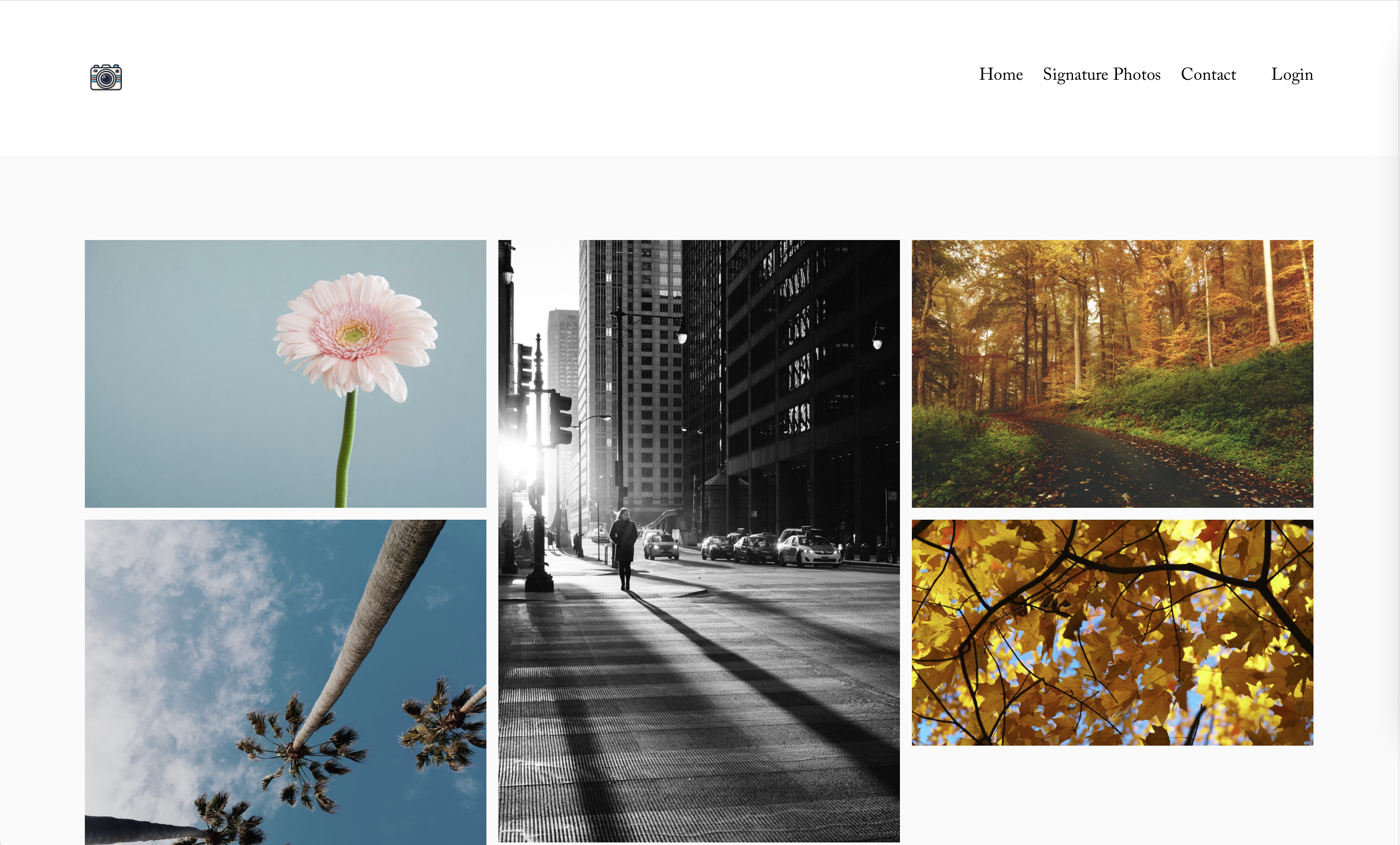 Camera Library gallery image