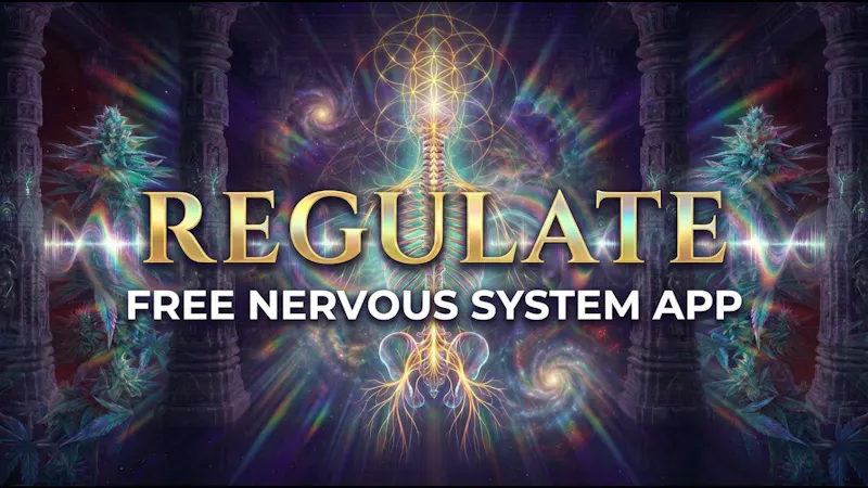REGULATE screenshot 1 (video preview)