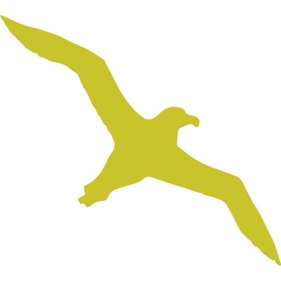 Albatross — Google Calendar Time Tracker