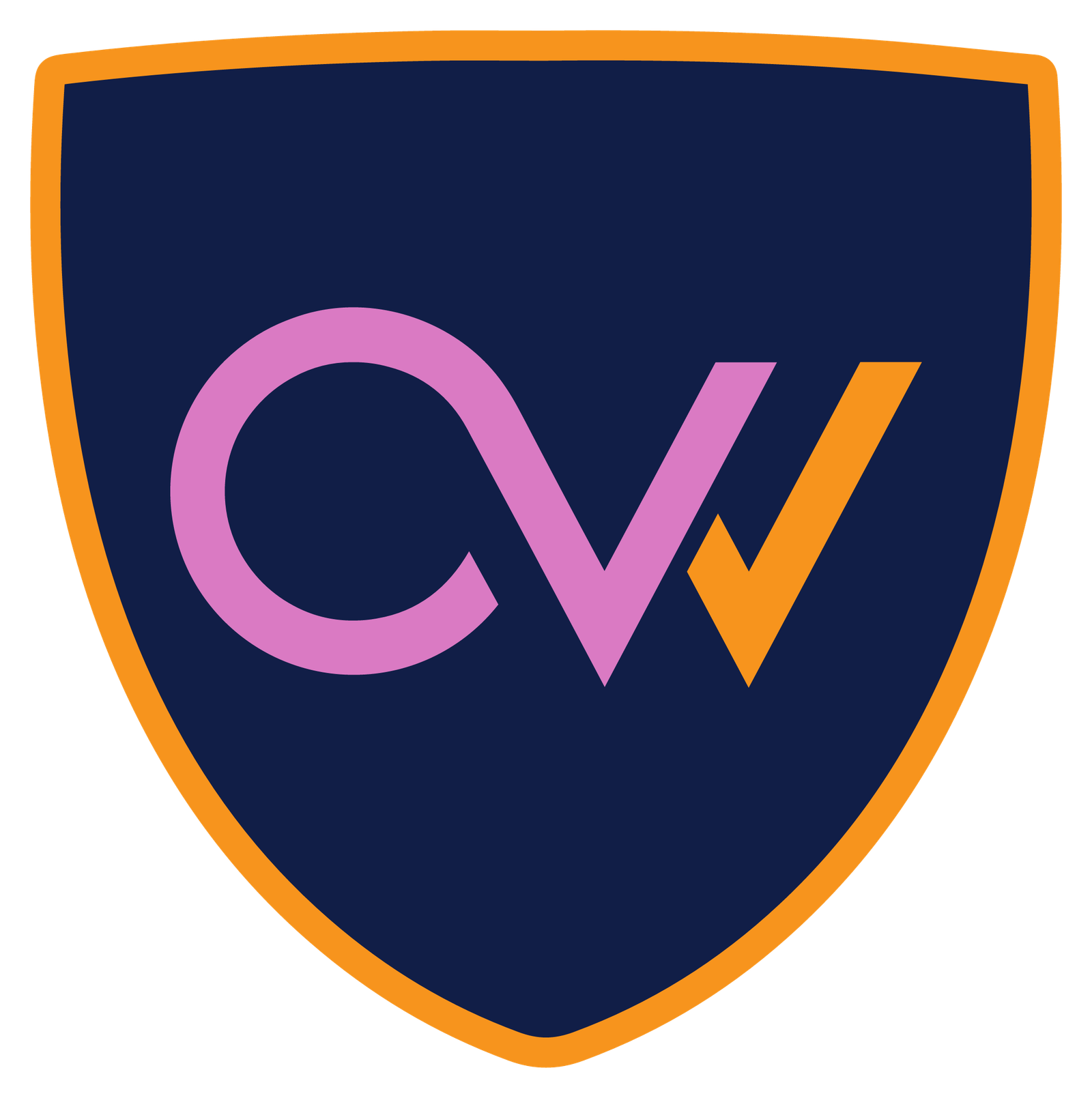 OctoV VPN