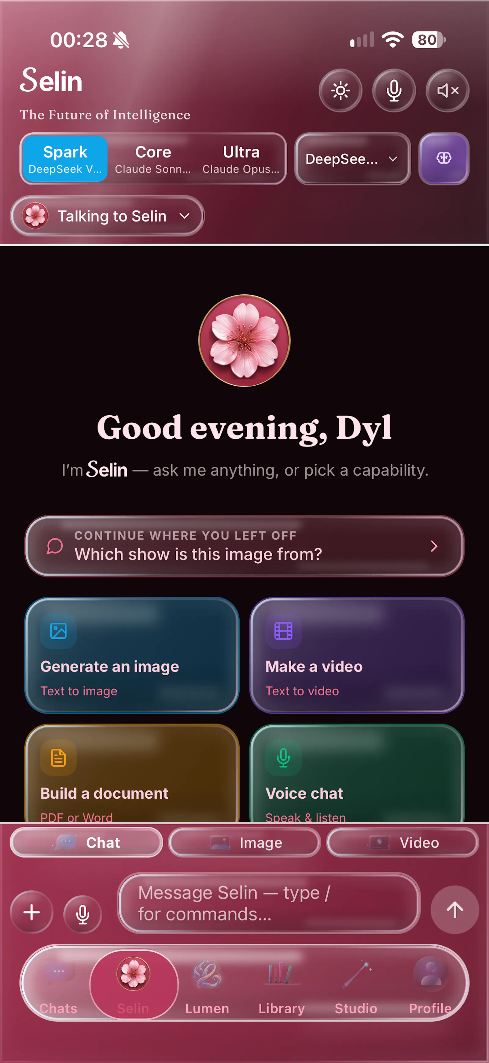 Selin AI screenshot 6