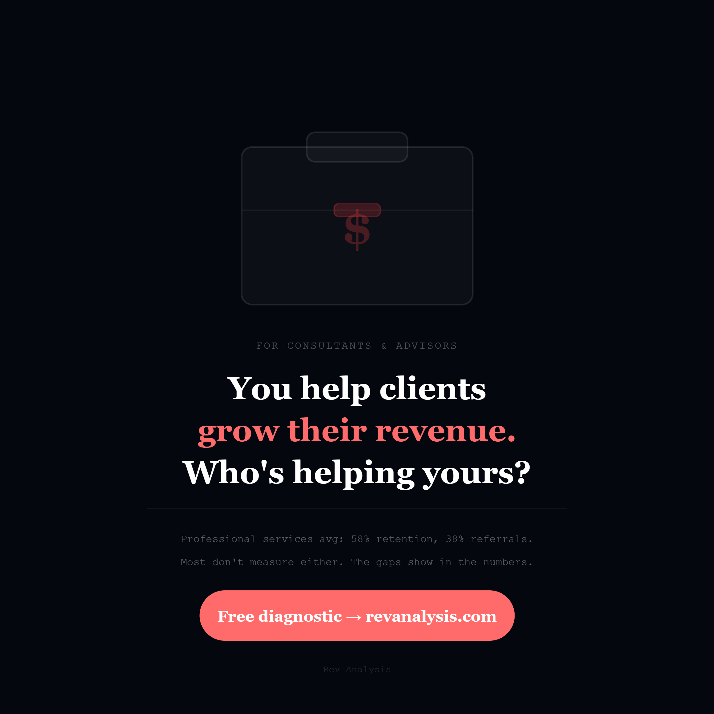 RevAnalysis Business Revenue Diagnostic gallery image