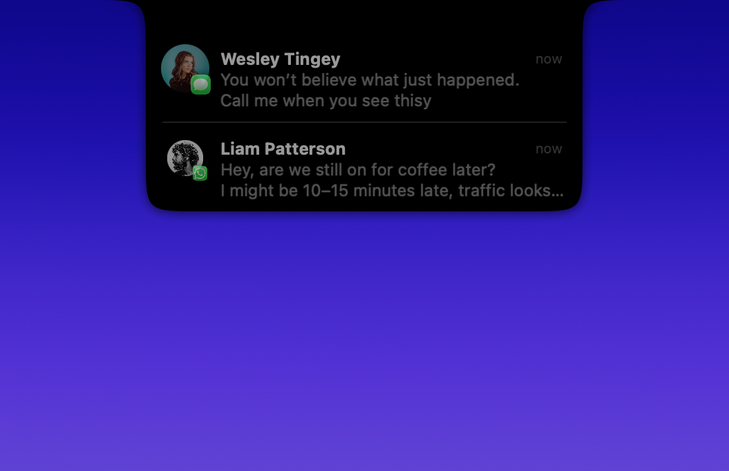 DynamicLake - Screenshot 2 showing product features and functionality