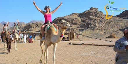 Hurghada Pyramiden Ausflug gallery image