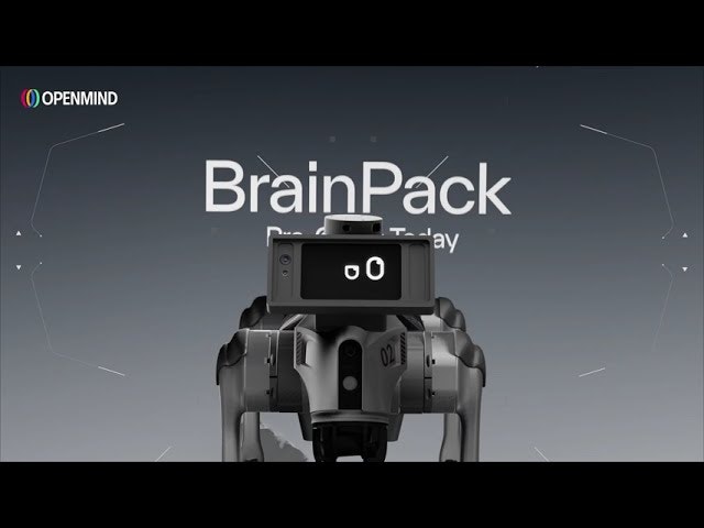 OpenMind BrainPack gallery image