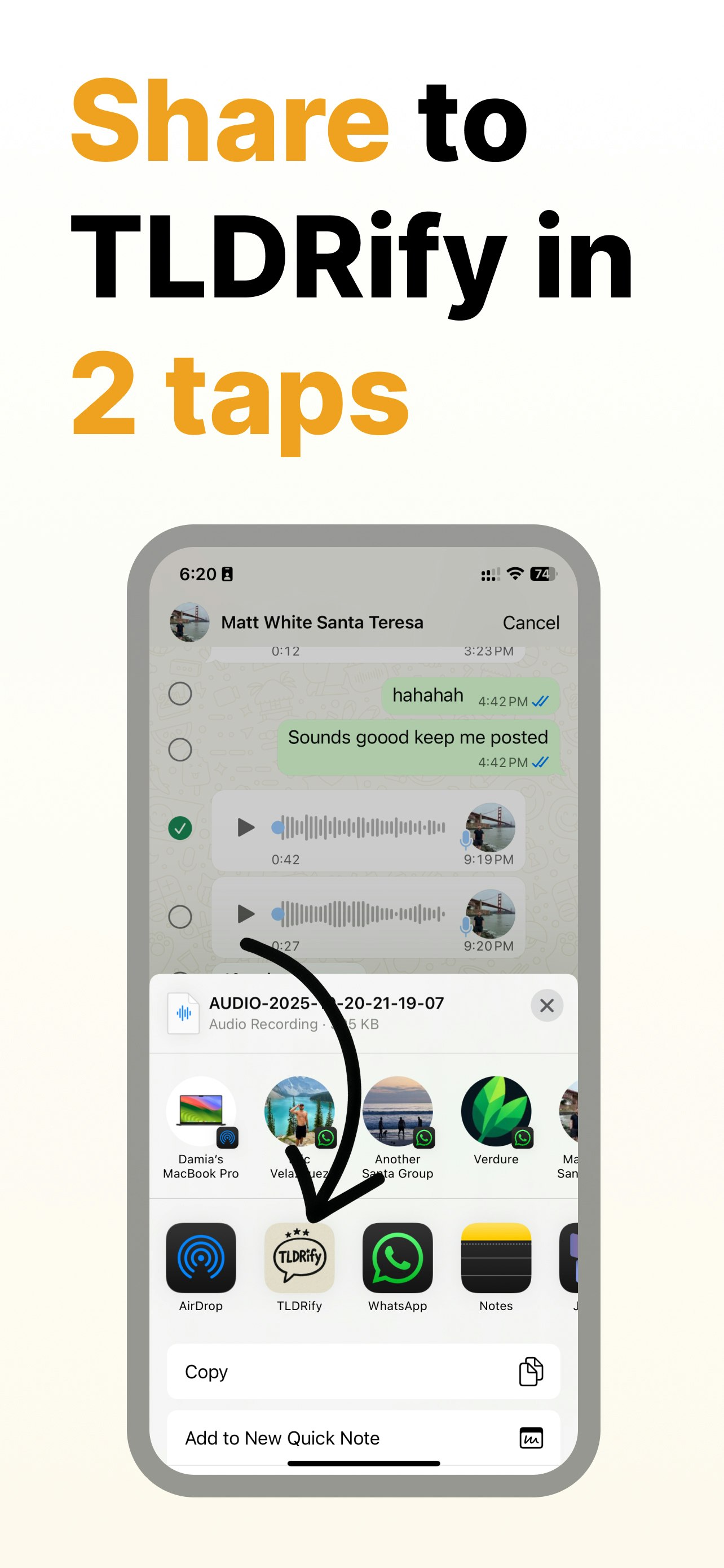 TLDRify: Summarize Voice Notes - Screenshot 2 preview