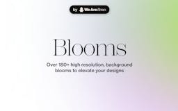 Blooms media 1