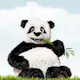 TinyPNG