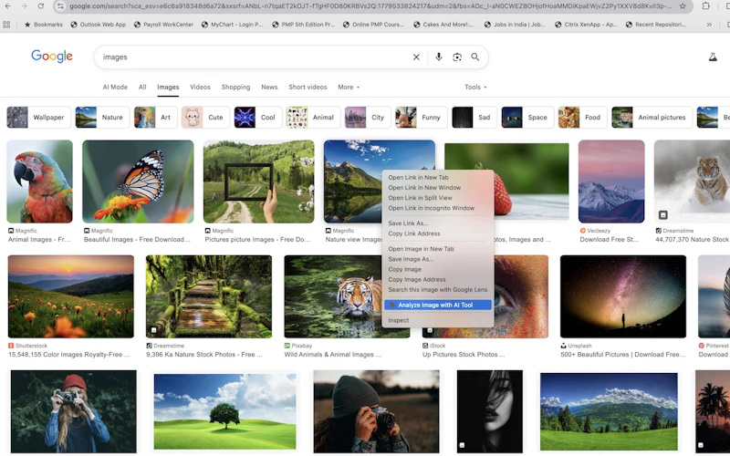 Truthlens AI Image analyzer screenshot 2
