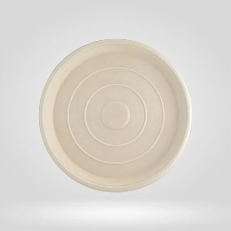 Disposable Eating Plates