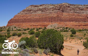 BikePacking Roots gallery image