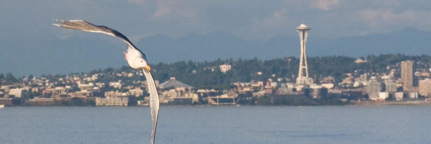 Beau Gunderson cover