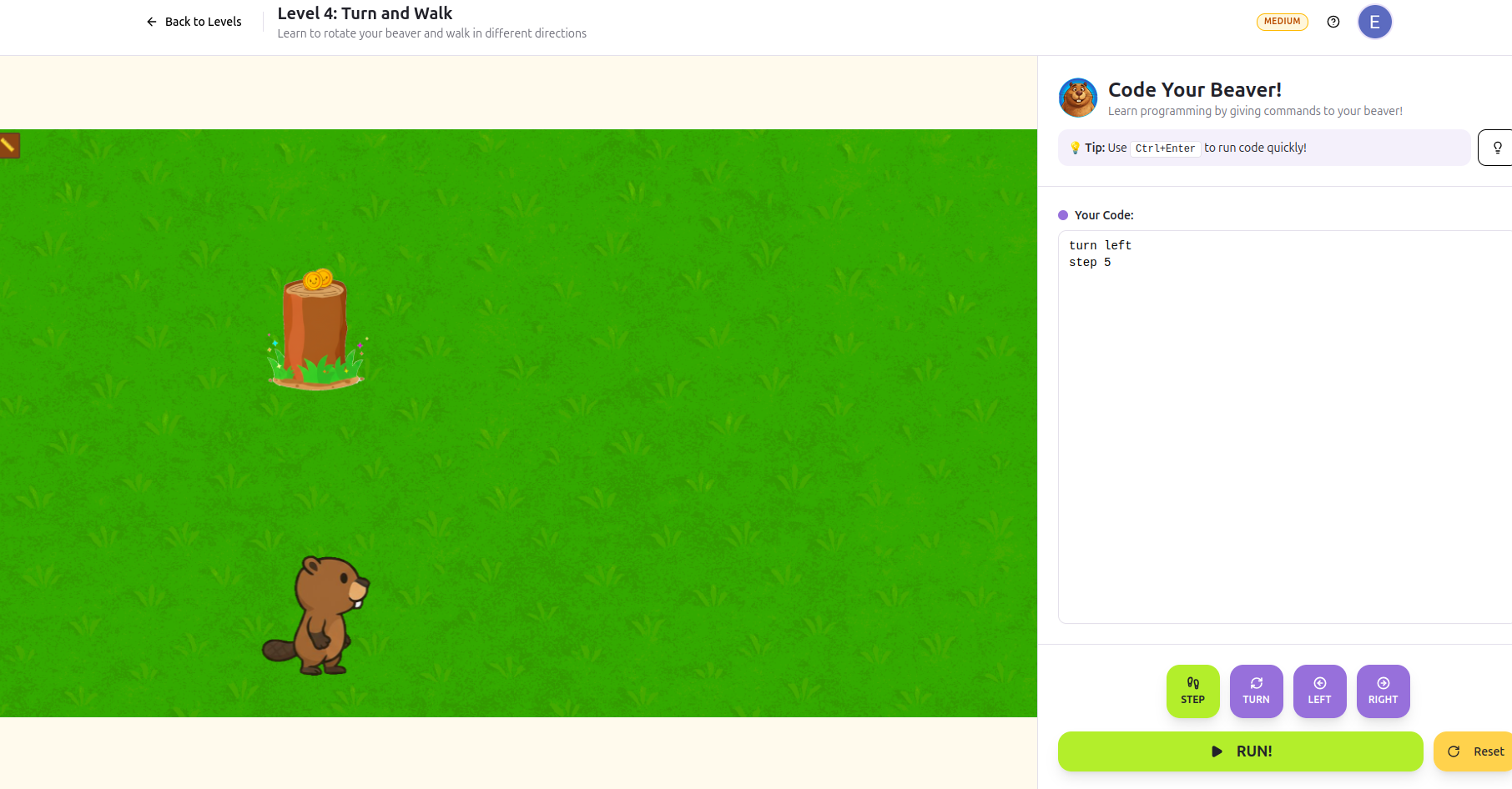 CodeBeaver.org gallery image