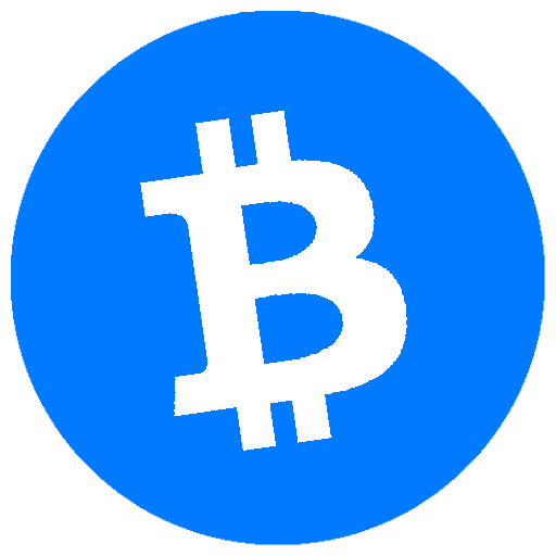 BSM logo