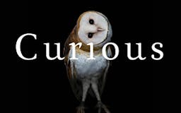 Curious: The Desire to Know & Why Your Future Depends On It media 1