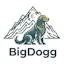 BigDogg, Invoicing and Accounting