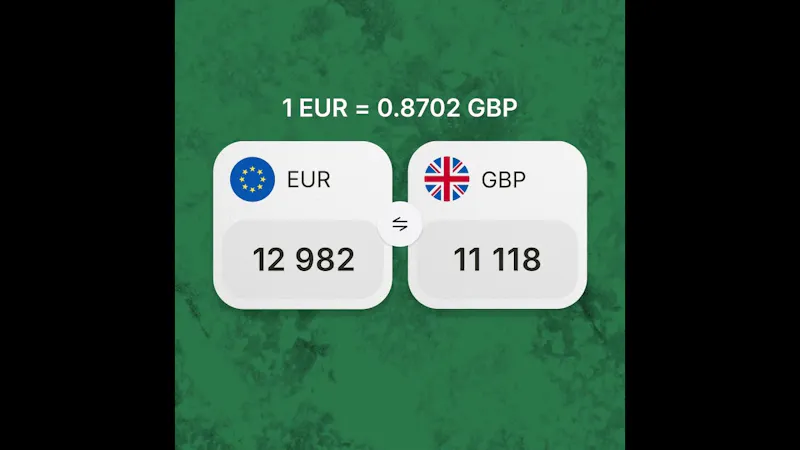 Multi-Currency Business Account screenshot 1 (video preview)