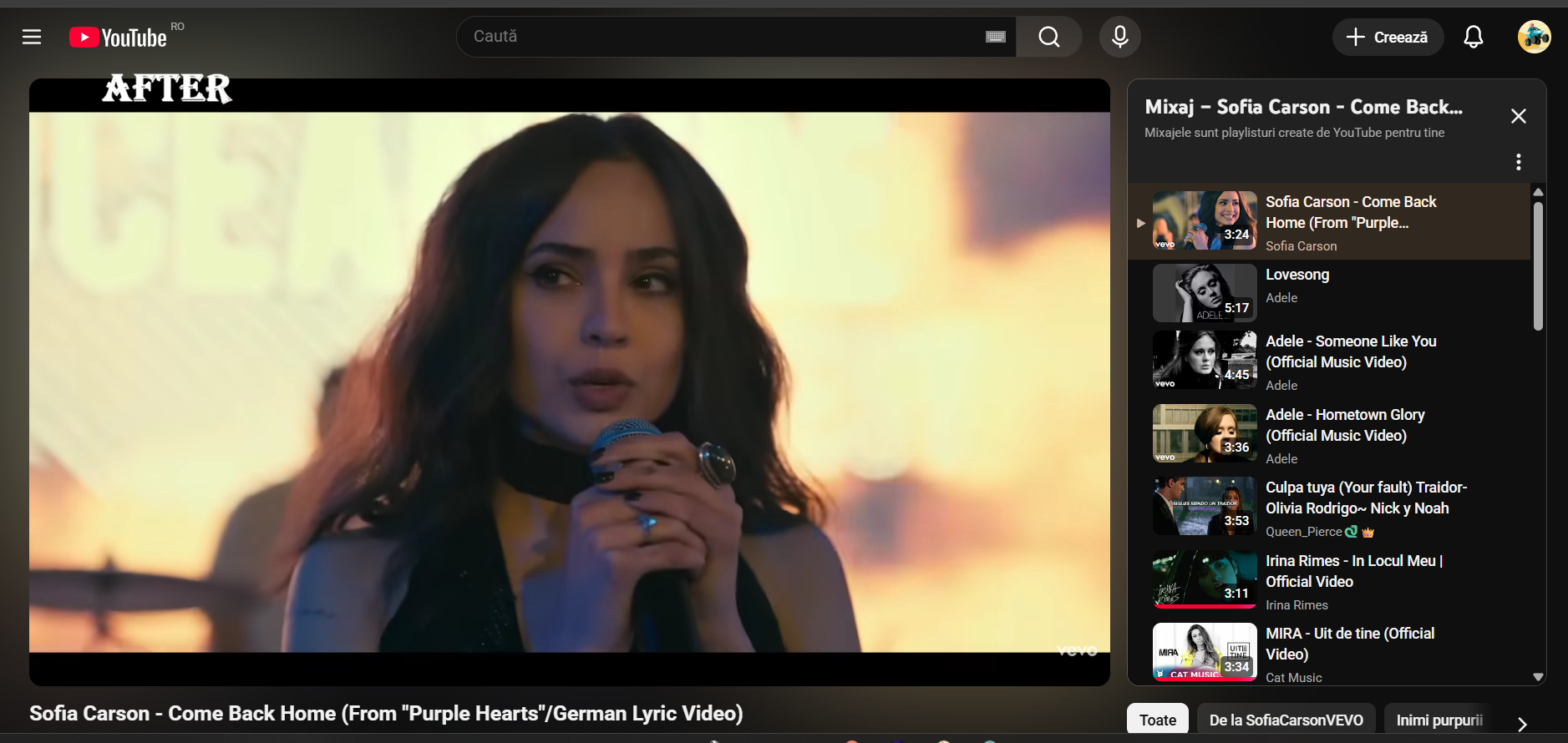 Ad-Blocking - YouTube & Website media 4
