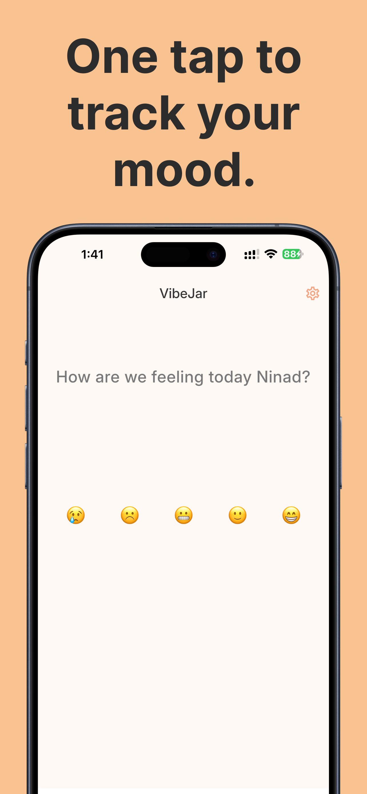 VibeJar-Mood Tracker and Journal - Screenshot 2 showing product features and functionality
