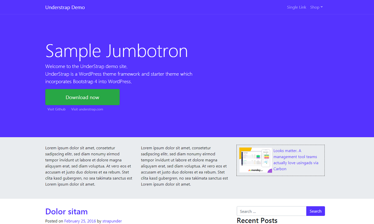 Understrap gallery image