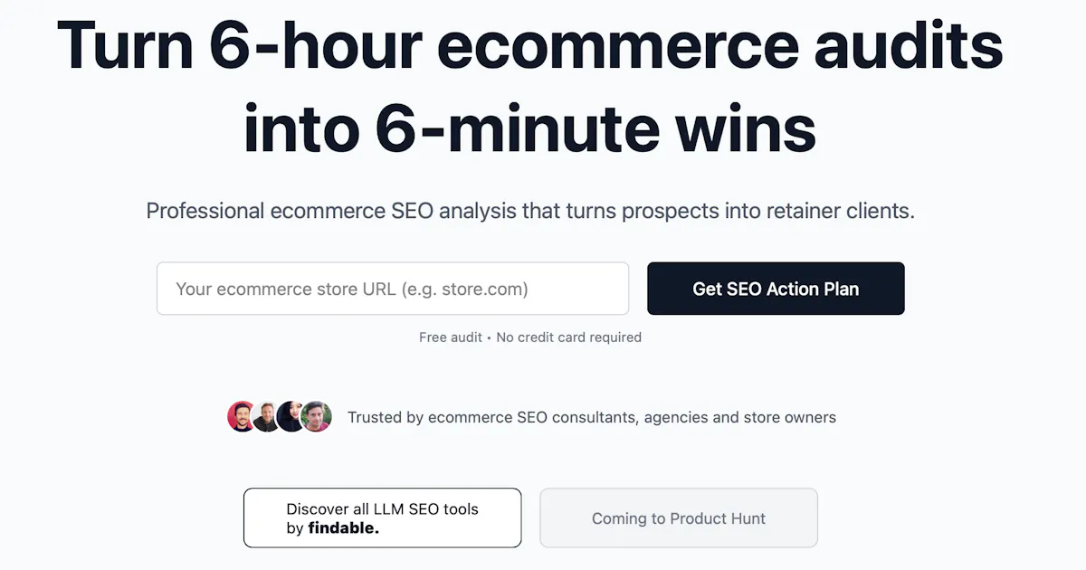 SEO Shop Audit