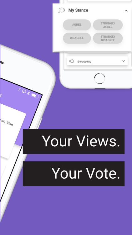 Say Yay gallery image