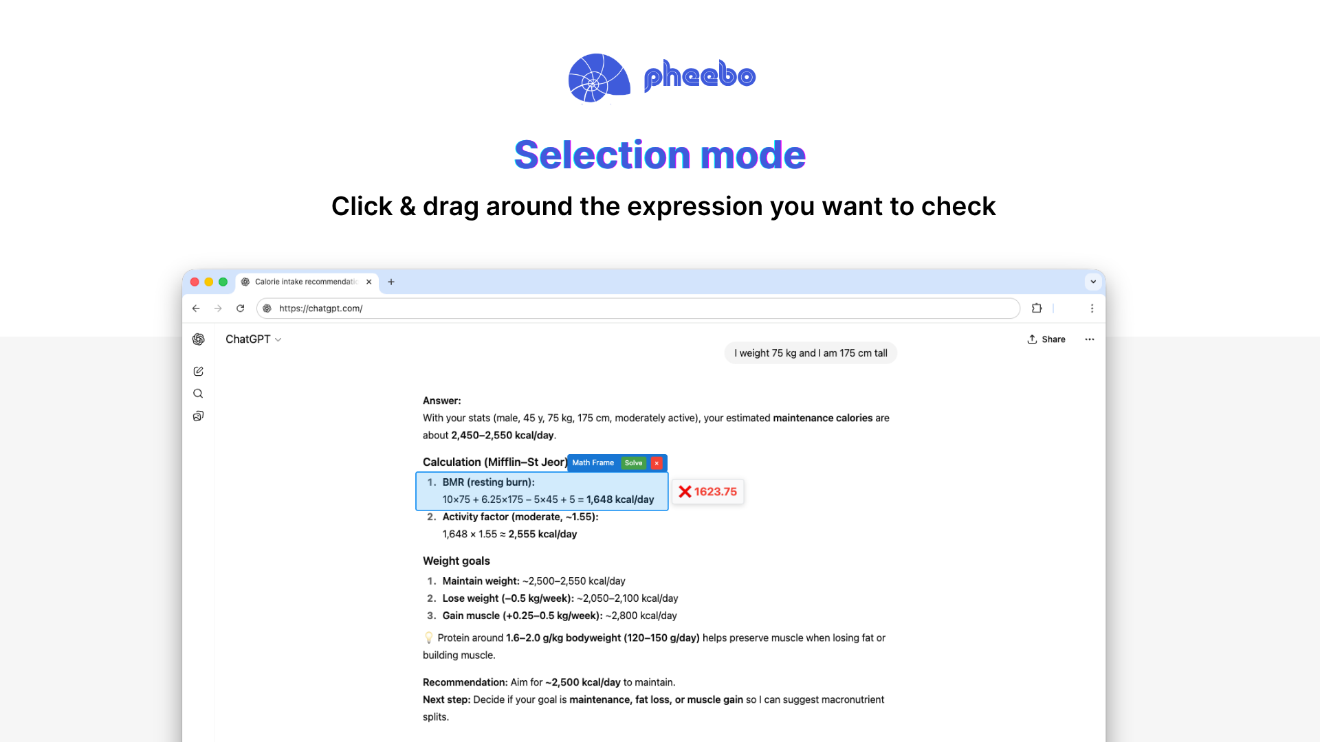 pheebo gallery image