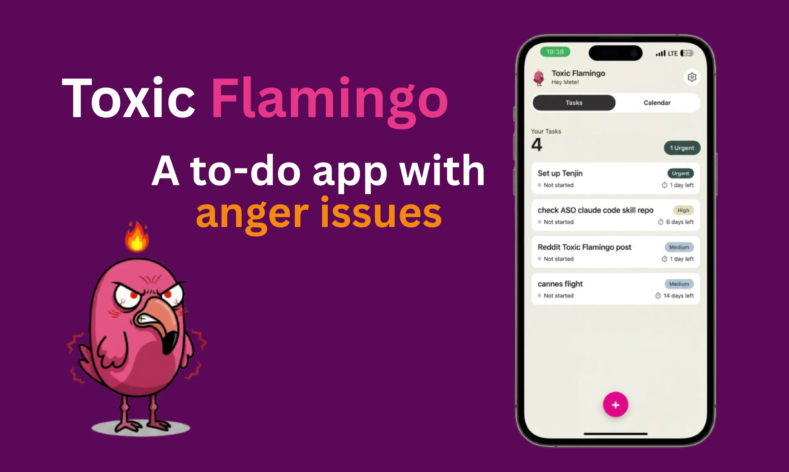 Toxic Flamingo: Life Planner product banner