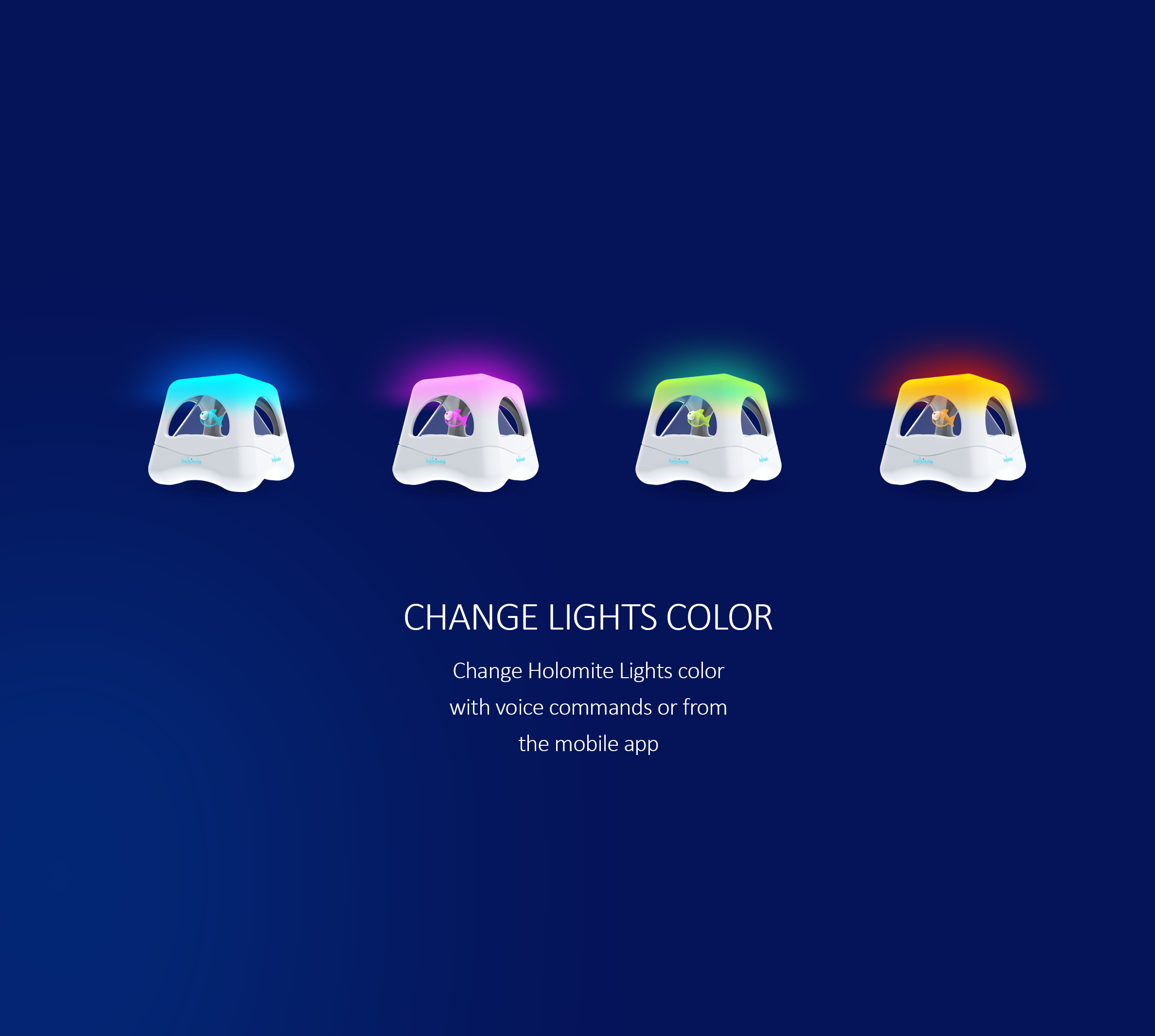 Holomite gallery image