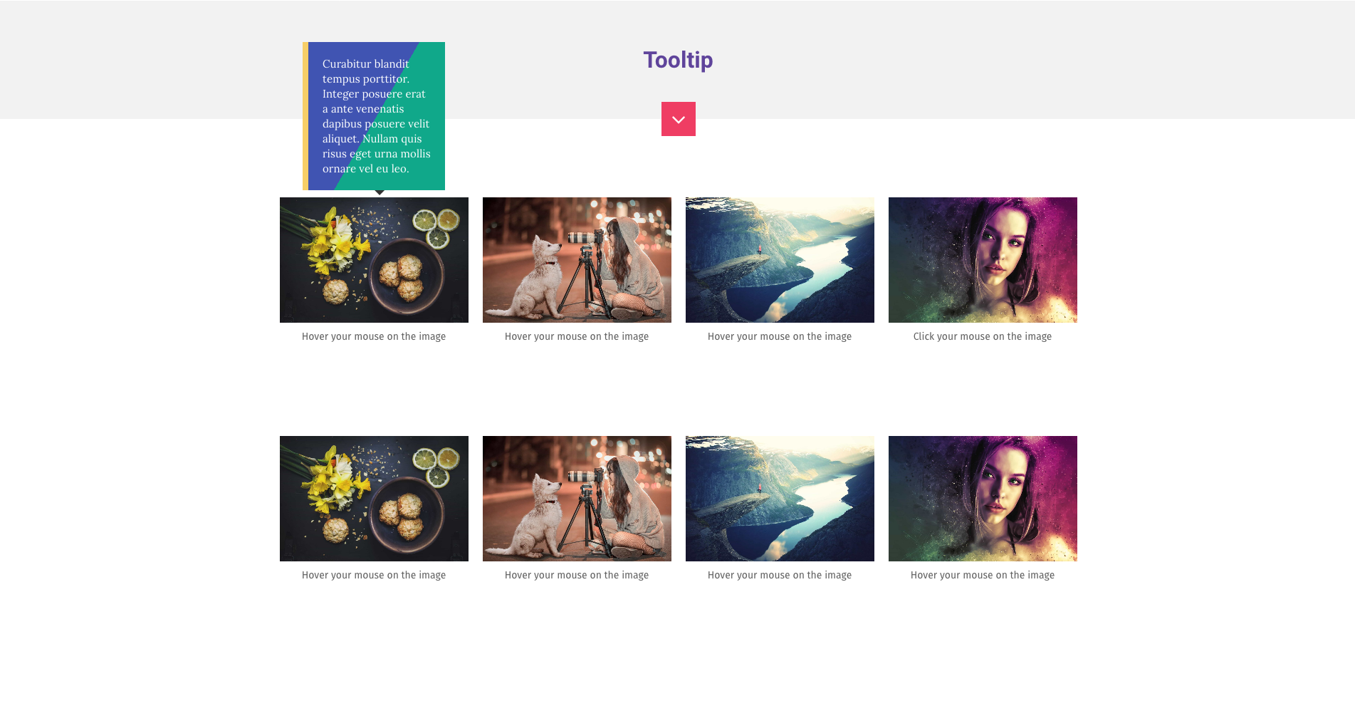 Major Expand gallery image