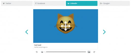 Any Image gallery image