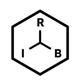 RIBs by Uber
