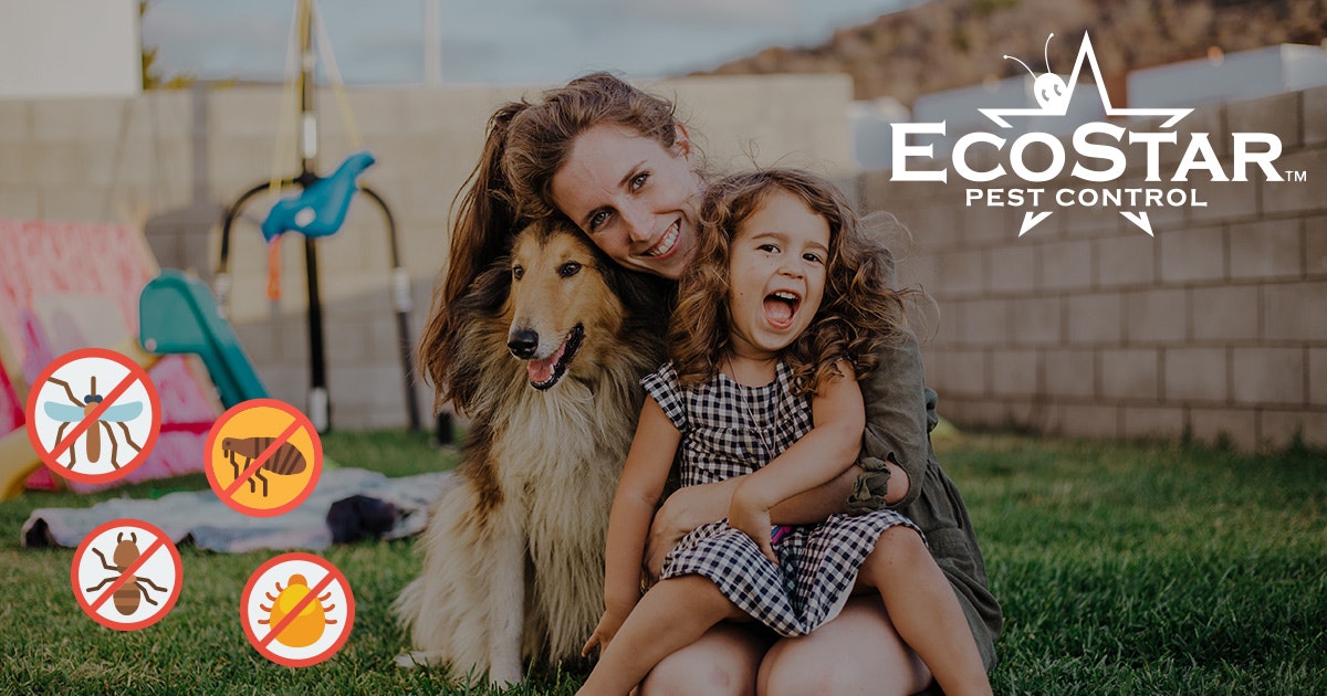 EcoStar Pest Control gallery image