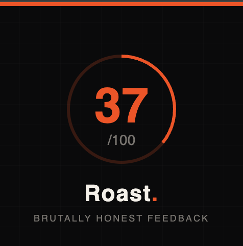 RoastMyWebsite Brutally Honest Feedback