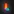 Lively! - Read and Share New Composes