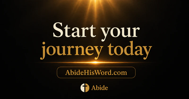Abide screenshot 7