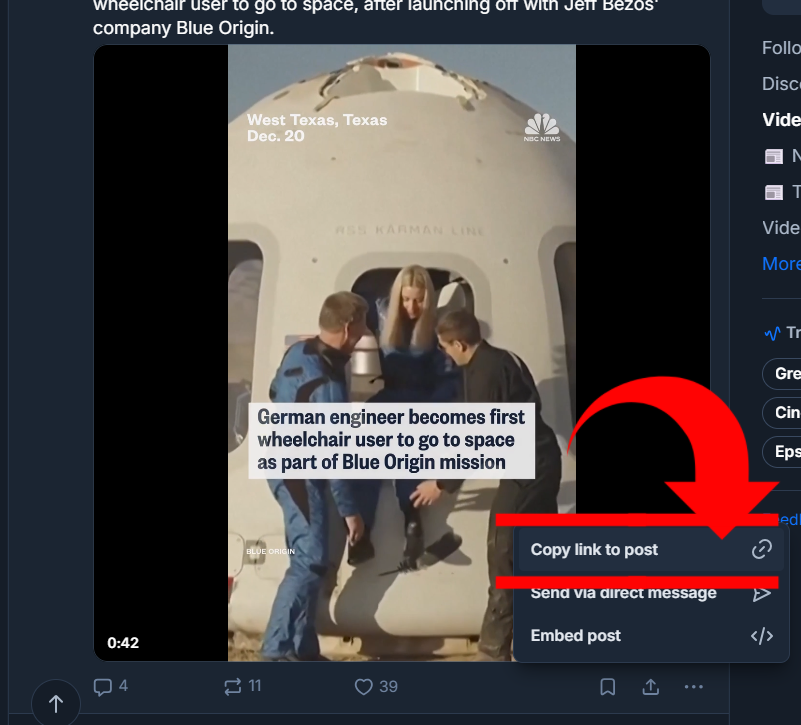 Bsky Video Downloader - Screenshot 2 showing product features and functionality