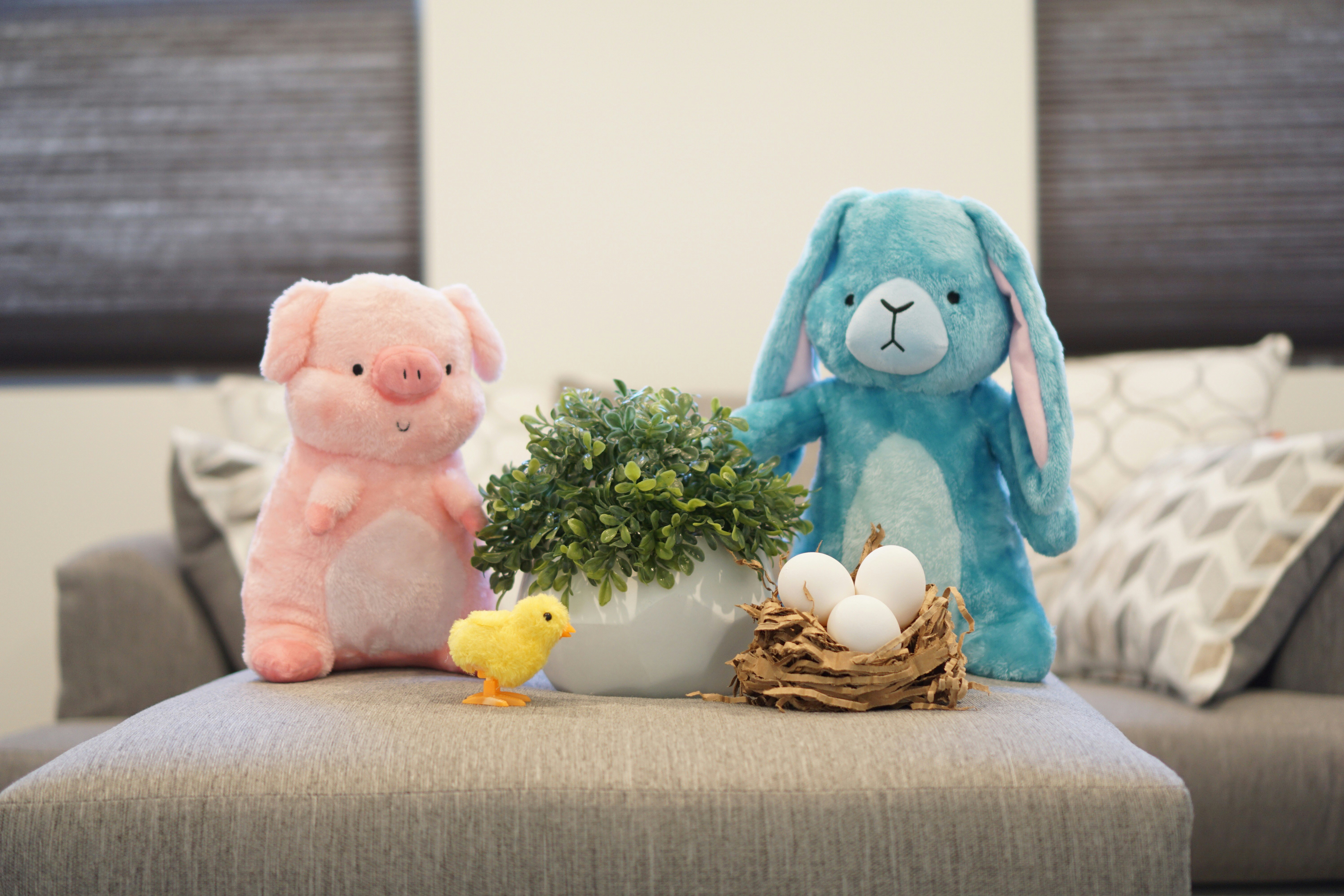 Hamilton and Eleanor - Cuddly Companions