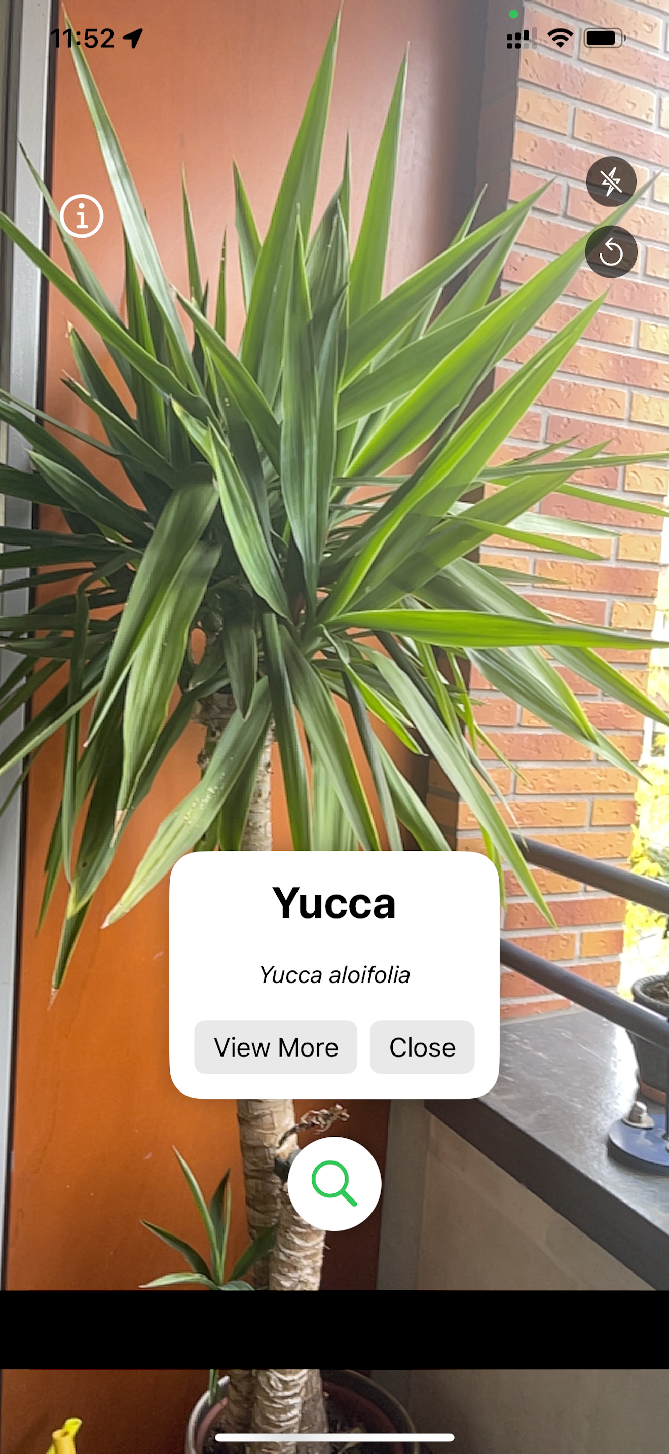 Plantera gallery image