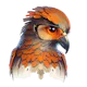 Code Hawk