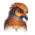 Code Hawk