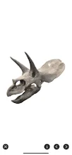 World of Dinosaurs 11 gallery image