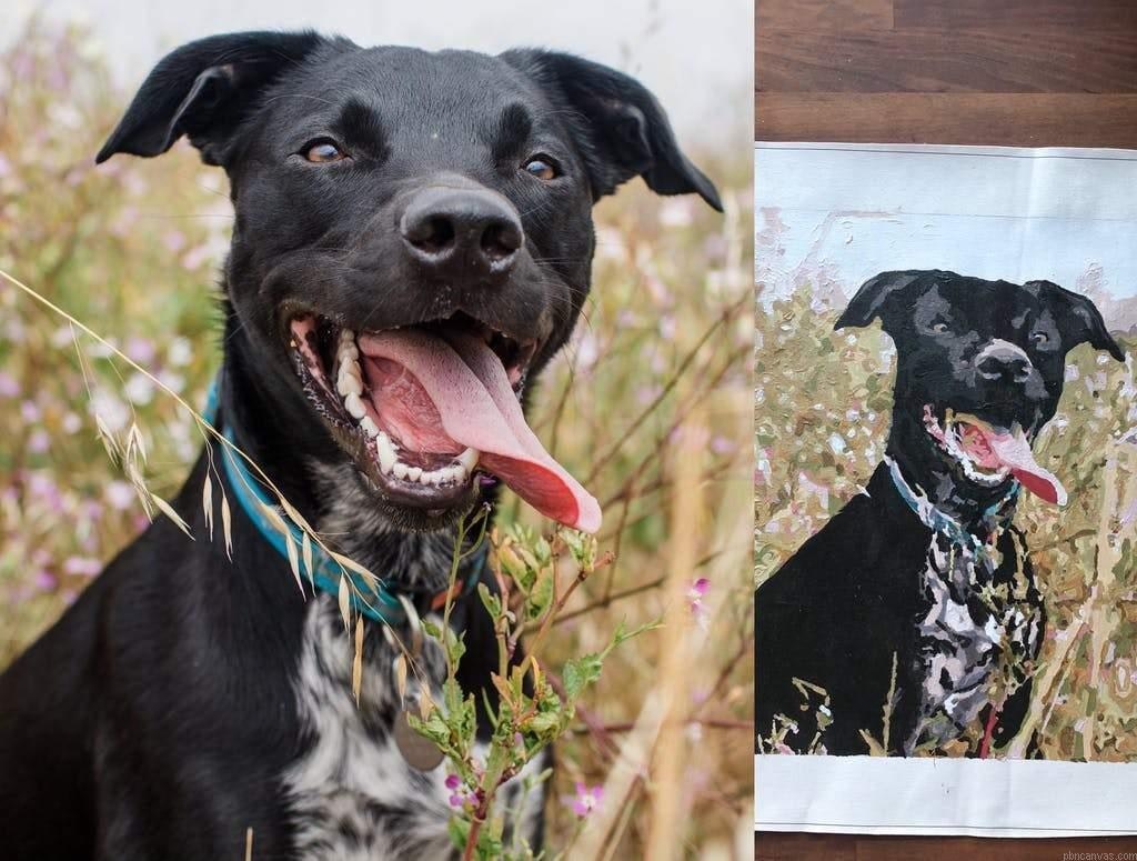 Custom Paint By Number Your Own Photo gallery image