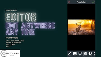 EDITOLAYS EDITOR gallery image