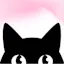 LazyCats® Webflow + SEO/AEO Agency