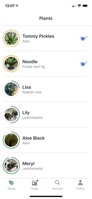 Jungled gallery image