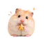 Lodestar · Hamzzi Saju