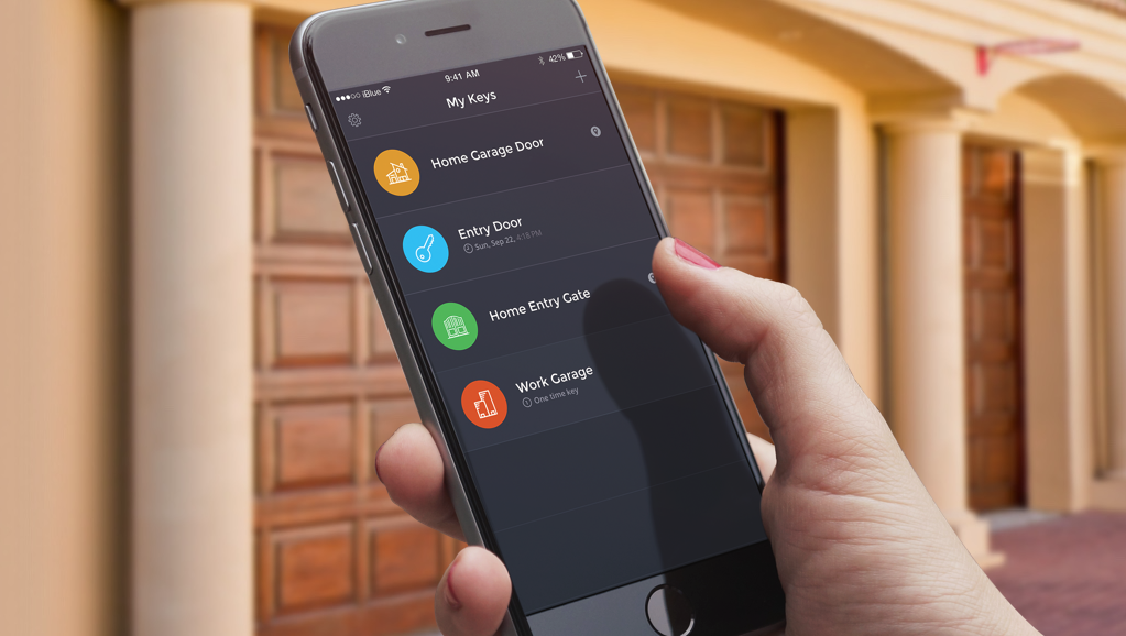iBlue Immobilizer gallery image
