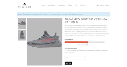 TrickleBid gallery image